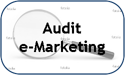 Audit e-Marketing